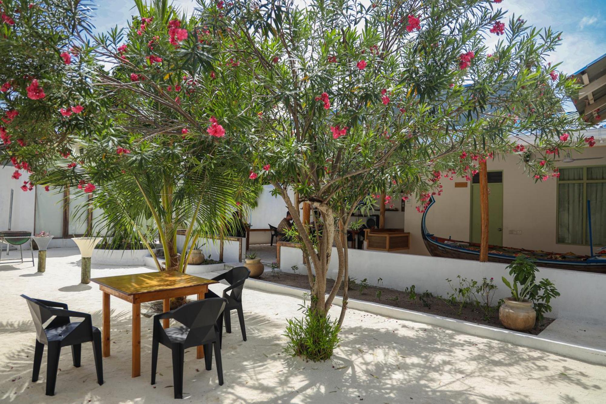 Shifa Lodge Maldives Feridhoo Dış mekan fotoğraf