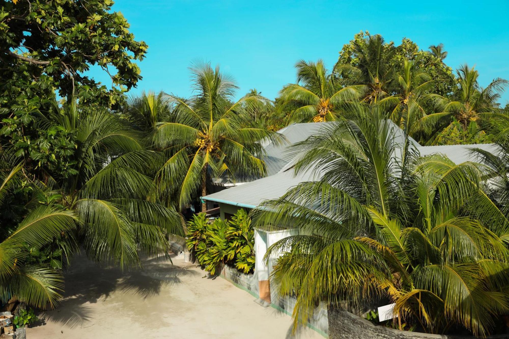 Shifa Lodge Maldives Feridhoo Dış mekan fotoğraf