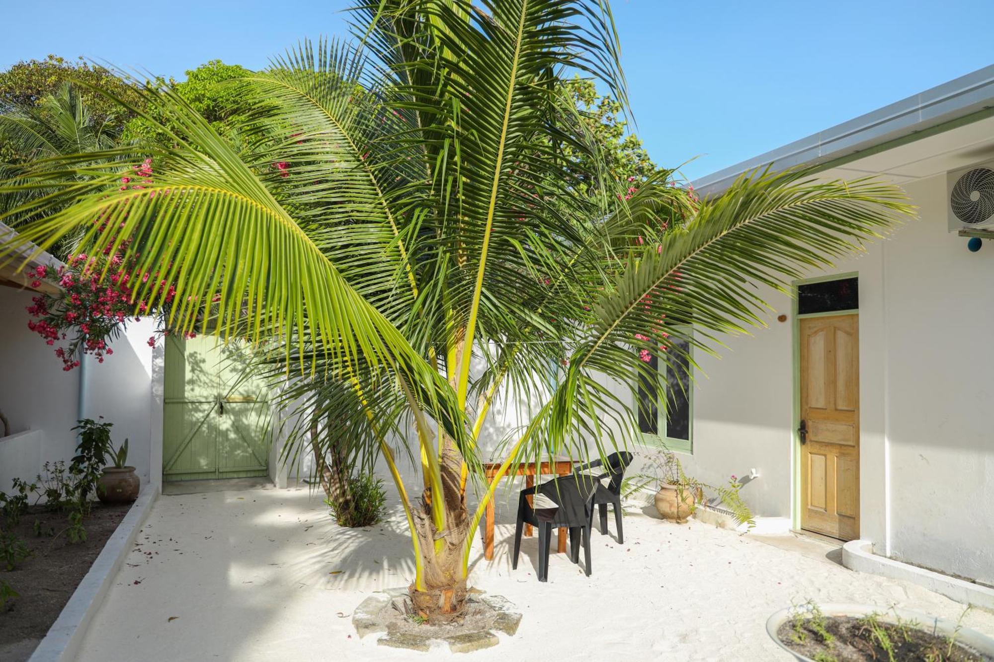 Shifa Lodge Maldives Feridhoo Dış mekan fotoğraf